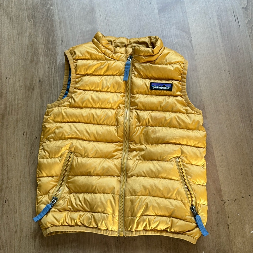 Patagonia down vest